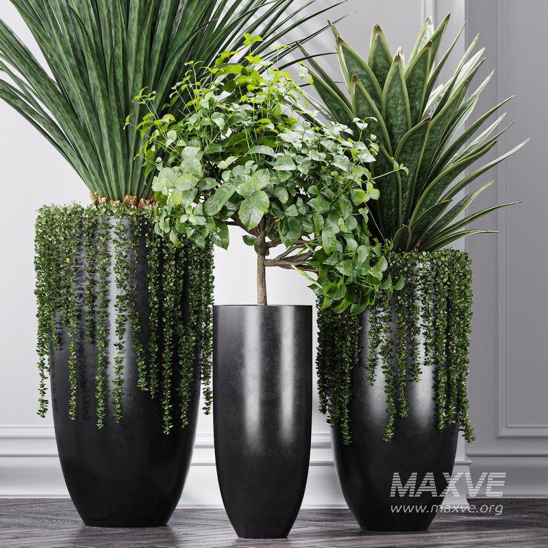 Indoor Artificial Office Plants Large Succulents - Image 10