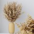 HQ HousePlants Branche Decorative Foliage Dollar Authentic Eucalyptus Bouquet Set02 - Thumbnail 6