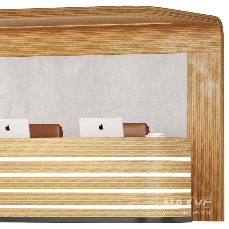 Contemporary Reception 14 - Image 10