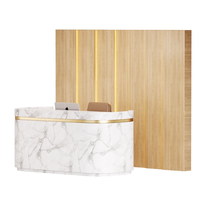 Contemporary Reception 20 - Image 9