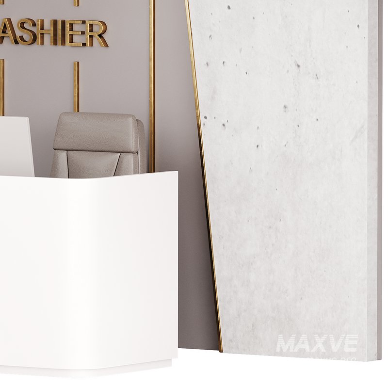 Contemporary Reception 15 - Image 11