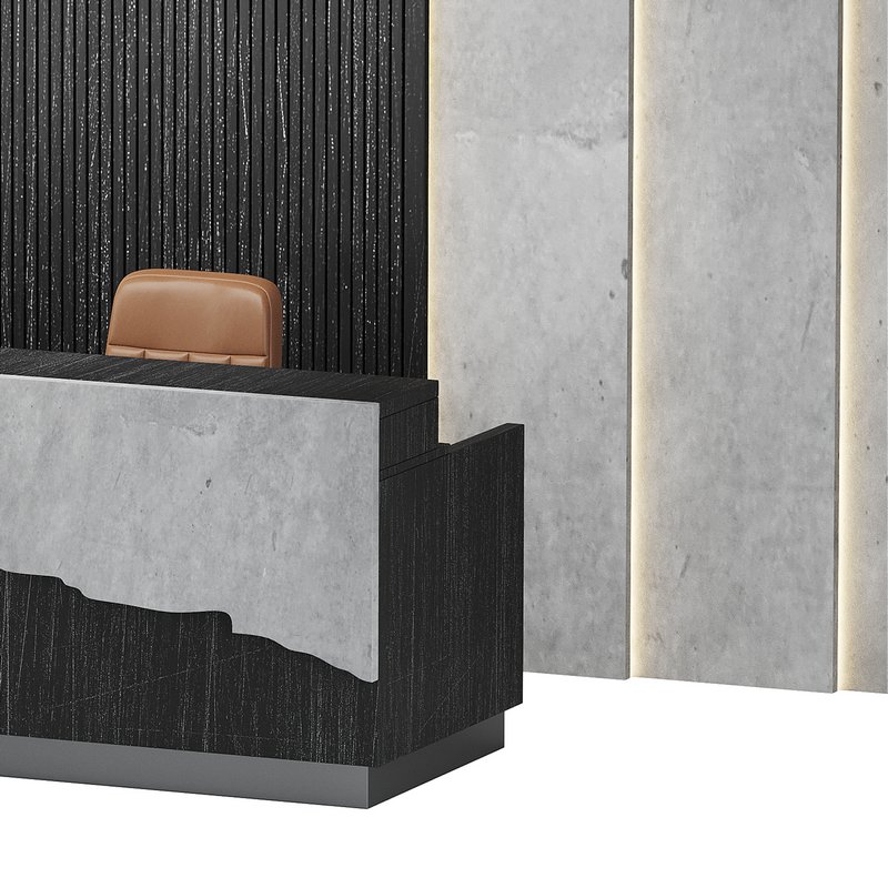 Contemporary Reception 02 - Image 11