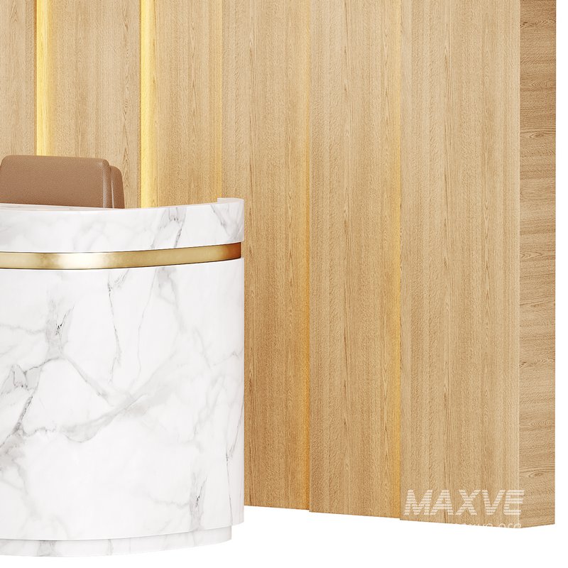 Contemporary Reception 20 - Image 11