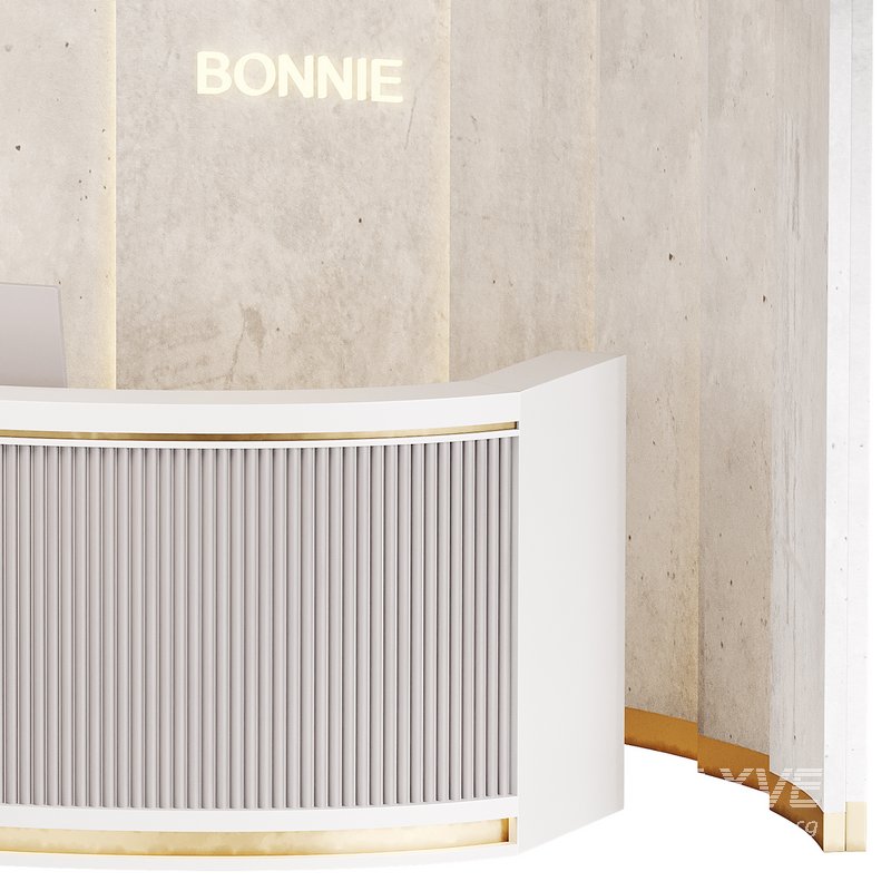 Contemporary Reception 18 - Image 11