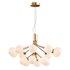 Apiales Chandelier - Thumbnail 1