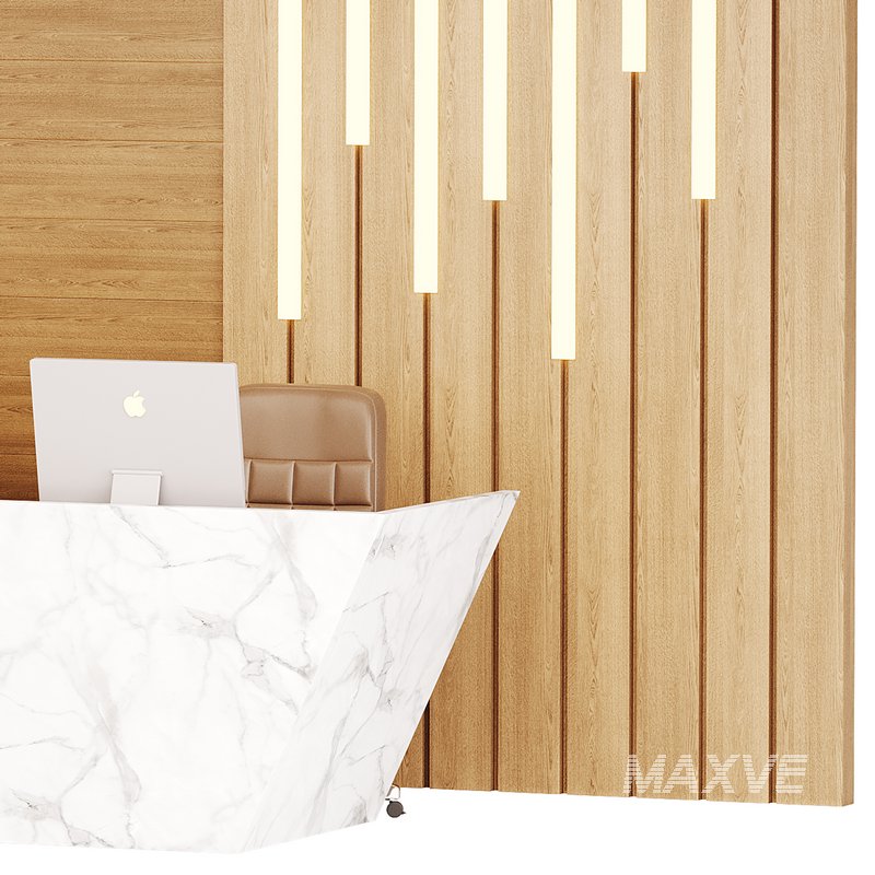 Contemporary Reception 19 - Image 14