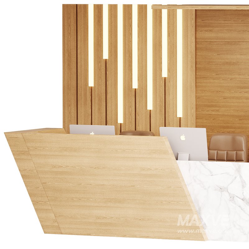 Contemporary Reception 19 - Image 15