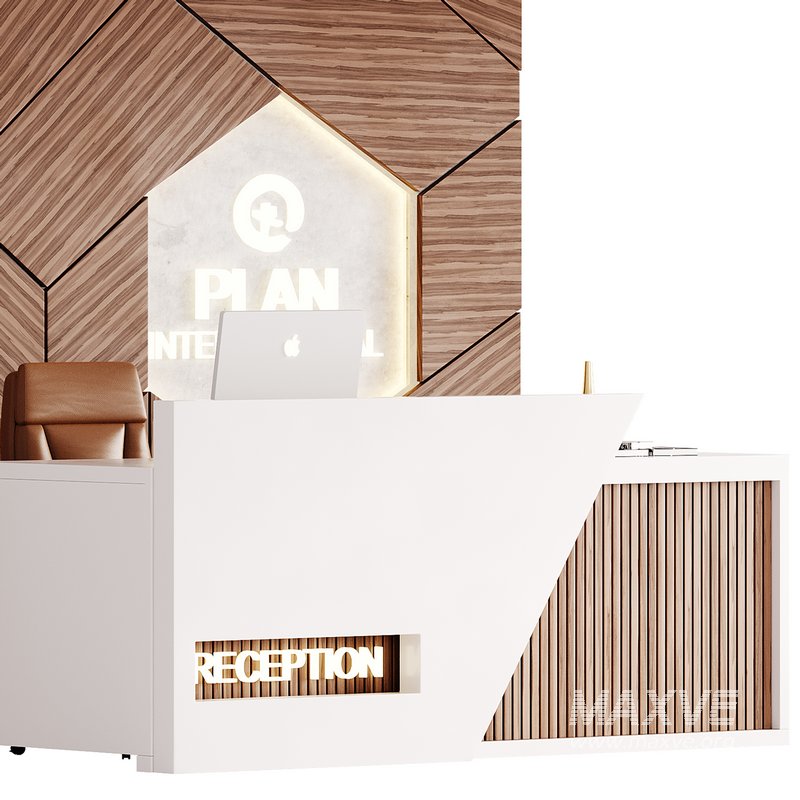 Contemporary Reception 13 - Image 2