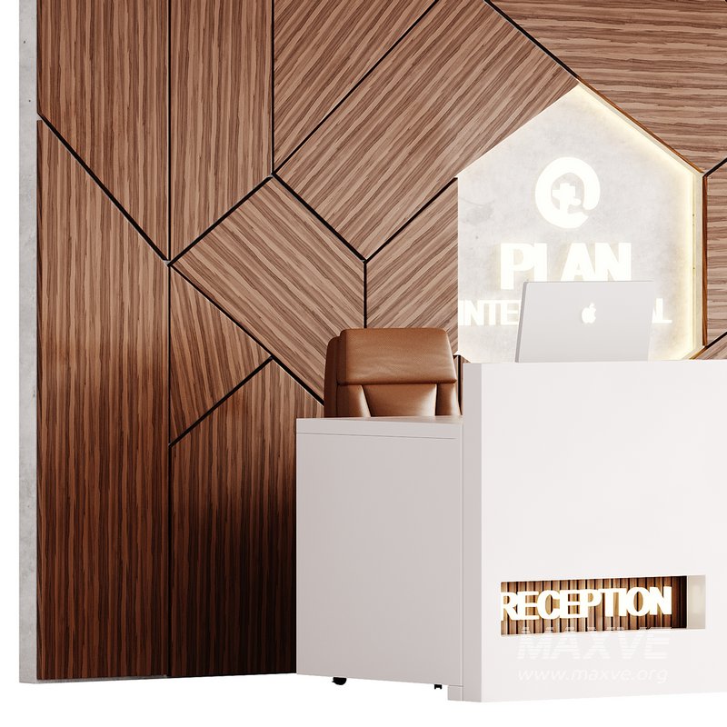 Contemporary Reception 13 - Image 4