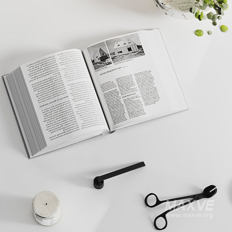 Decorative Set 05 - Image 4