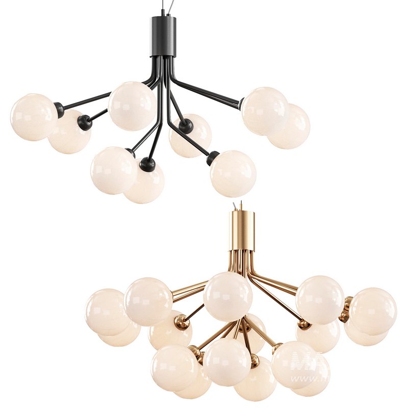 Apiales Chandelier - Image 6