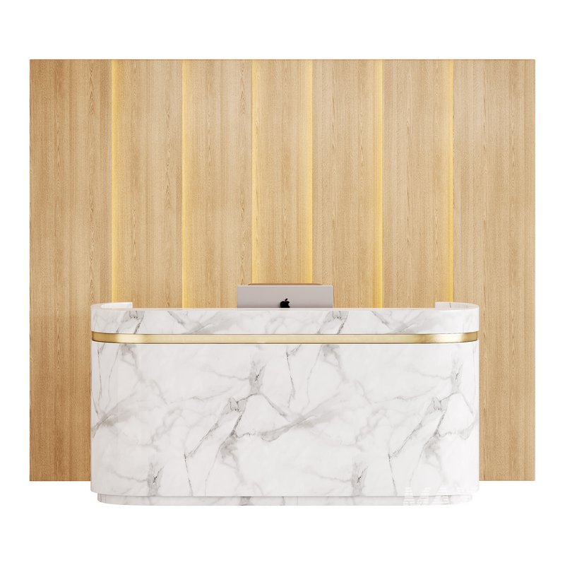 Contemporary Reception 20 - Image 4