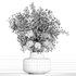 bouquet plant 01 - Thumbnail 5