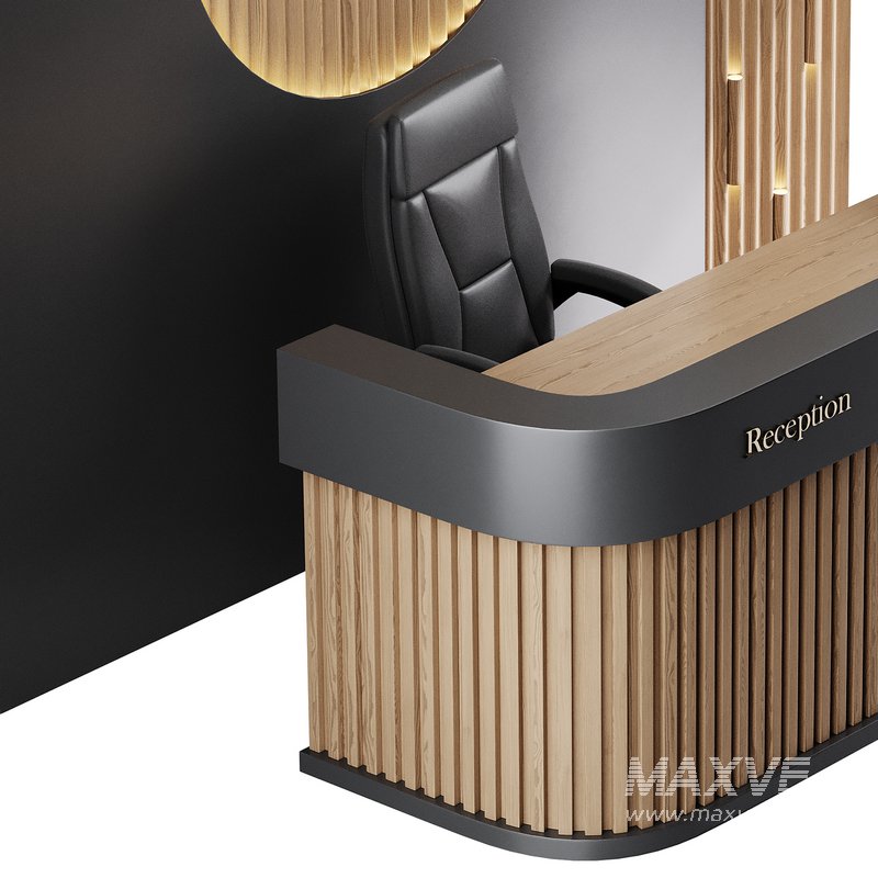 Contemporary Reception 01 - Image 5