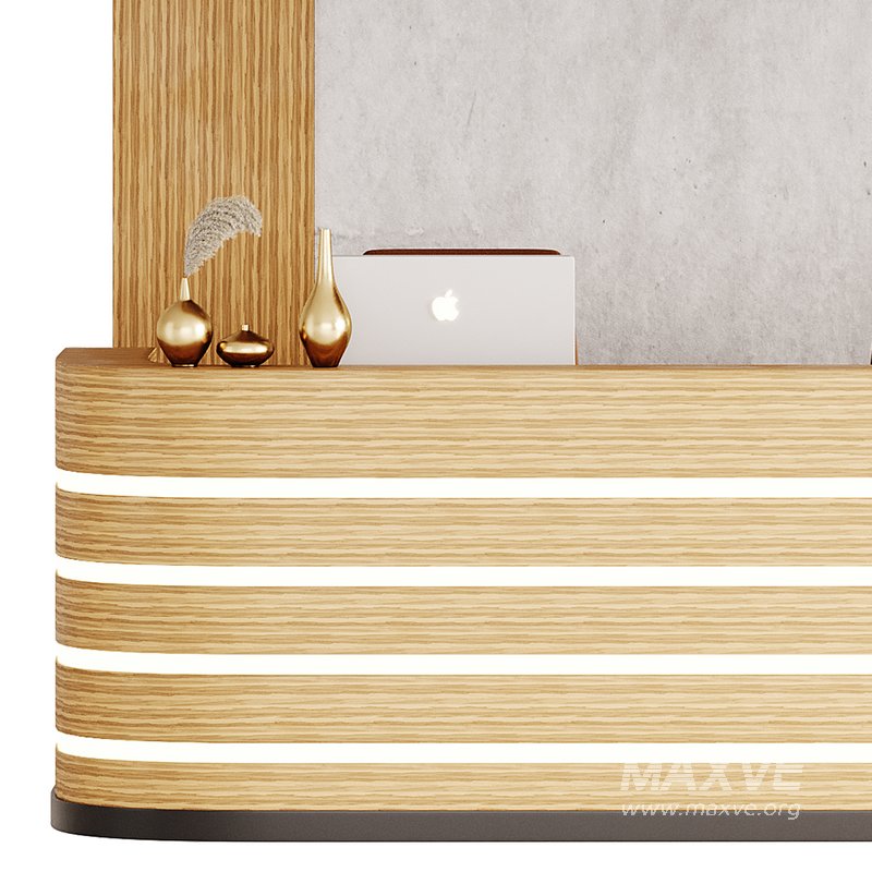 Contemporary Reception 14 - Image 5