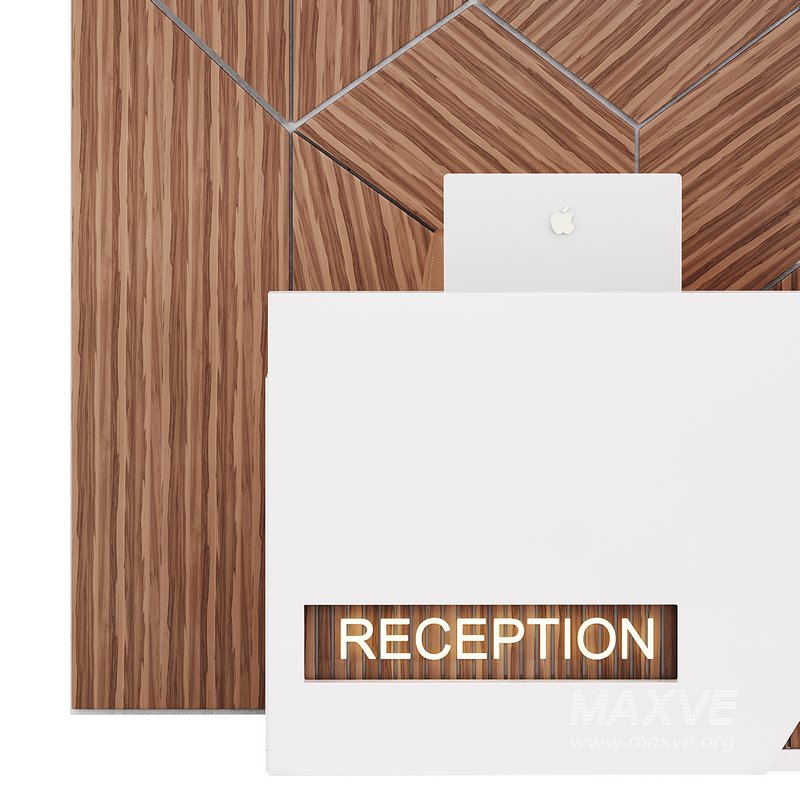 Contemporary Reception 13 - Image 5