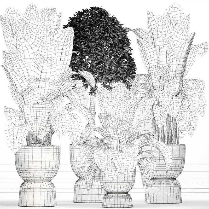 Indoor plant 05 - Image 6