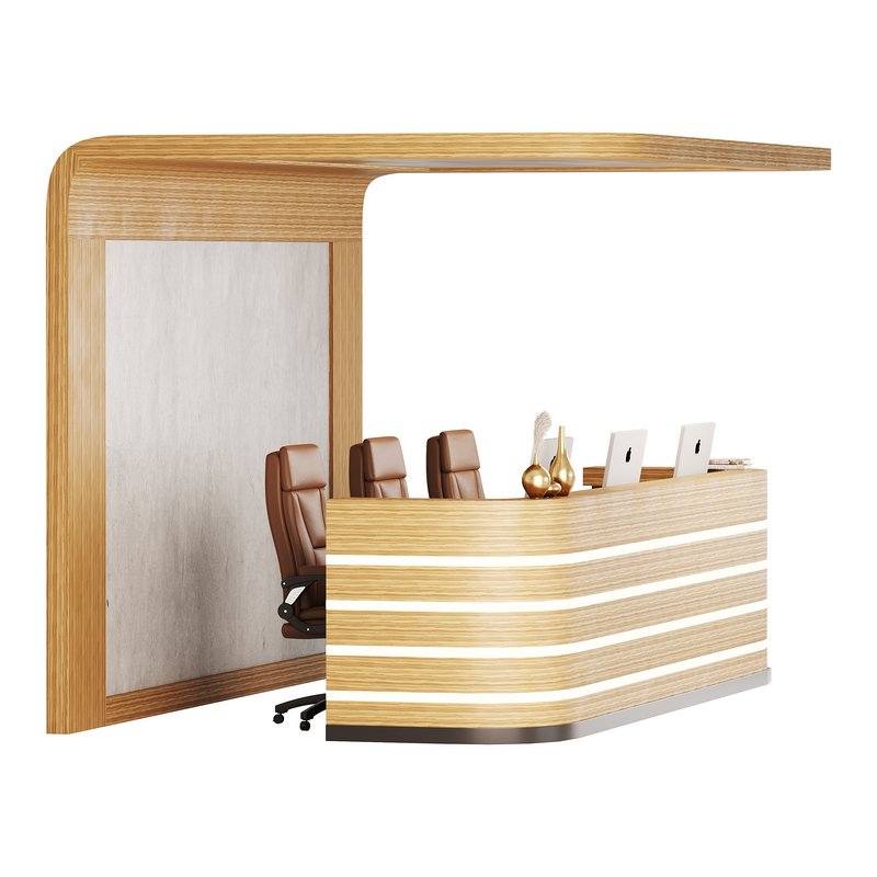 Contemporary Reception 14 - Image 9