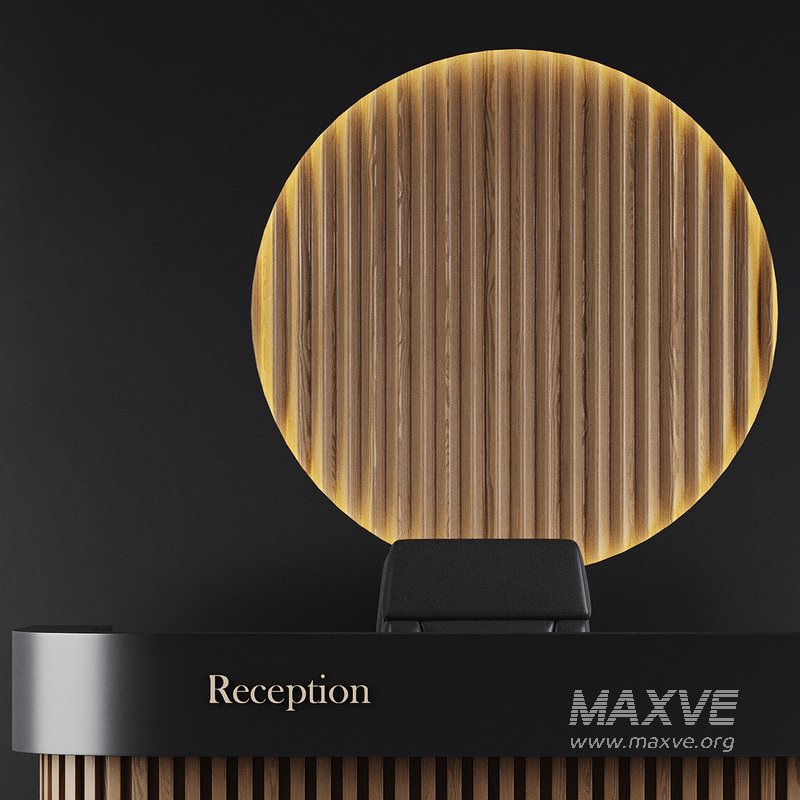 Contemporary Reception 01 - Image 8