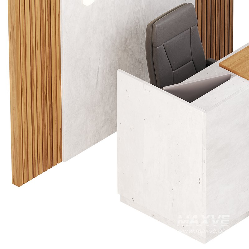 Contemporary Reception 08 - Image 8