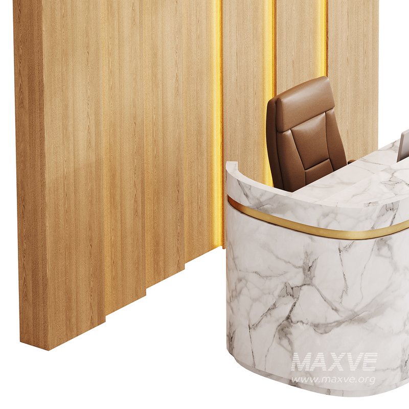 Contemporary Reception 20 - Image 7