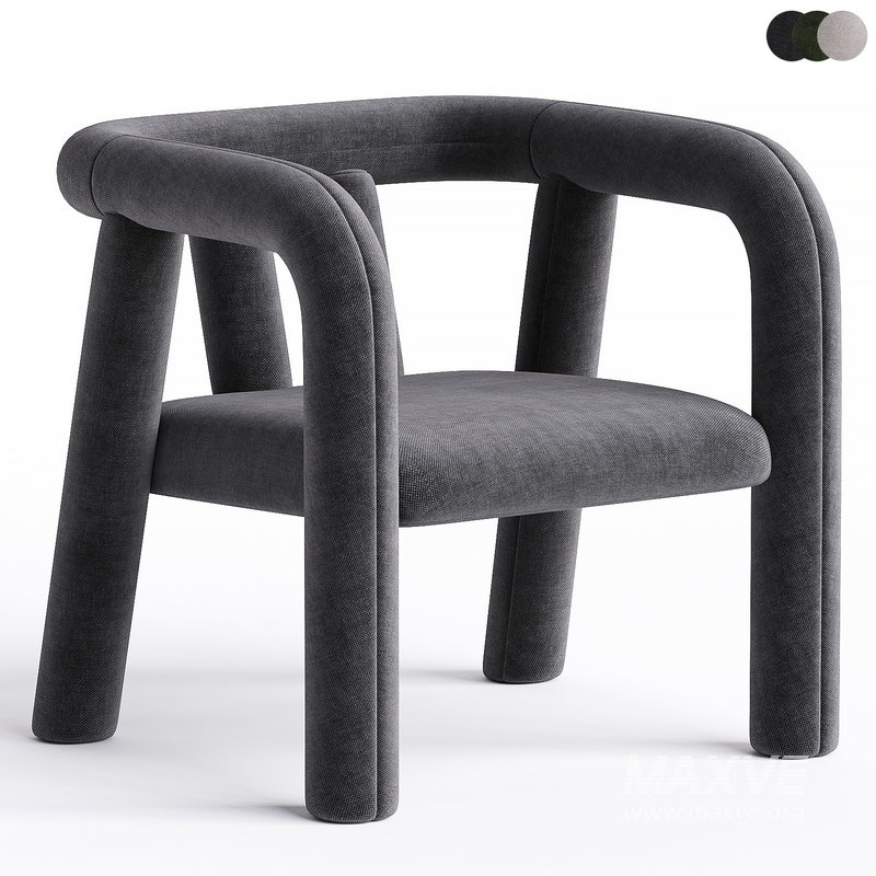 Temi Lounge Chair - Image 3
