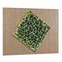 Vertical Wall Garden - Thumbnail 1