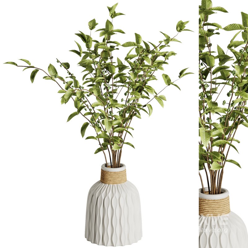 Green branches vase Set43 - Image 1