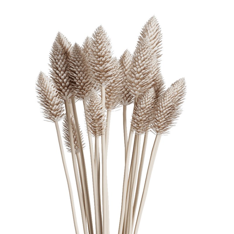 Bouquet vase Set48 – pampas - Image 3