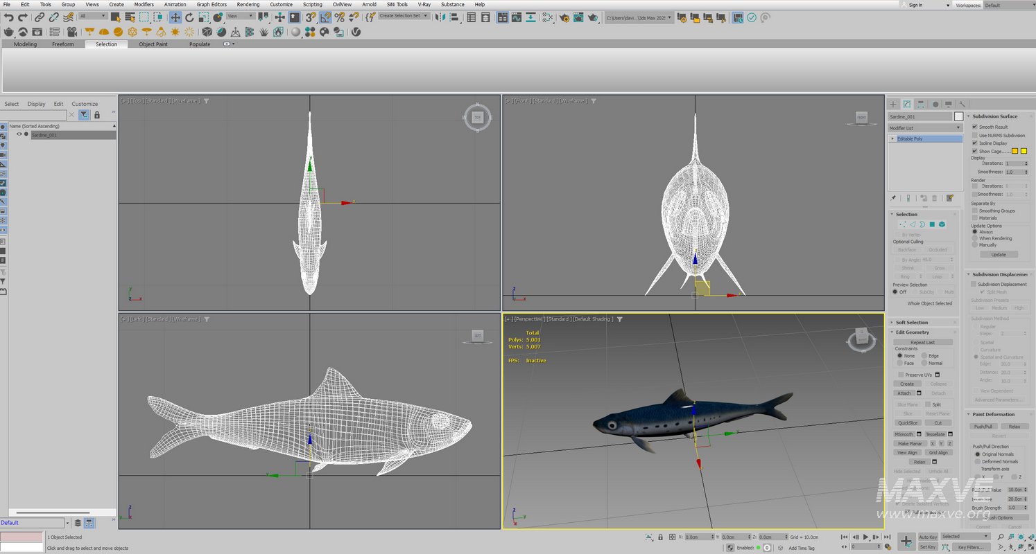 Sardine Fish - Image 3