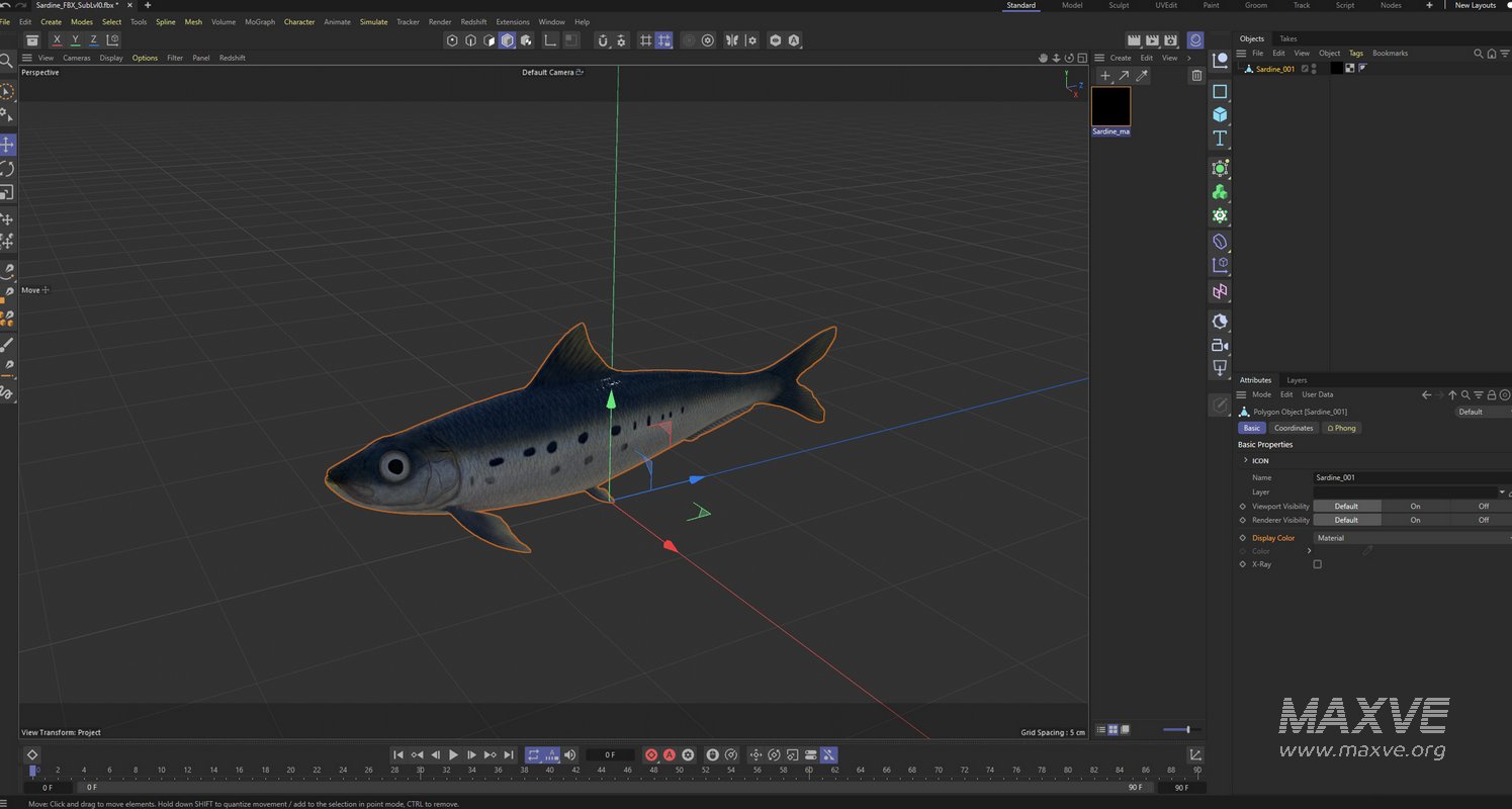 Sardine Fish - Image 4