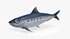 Sardine Fish - Thumbnail 2