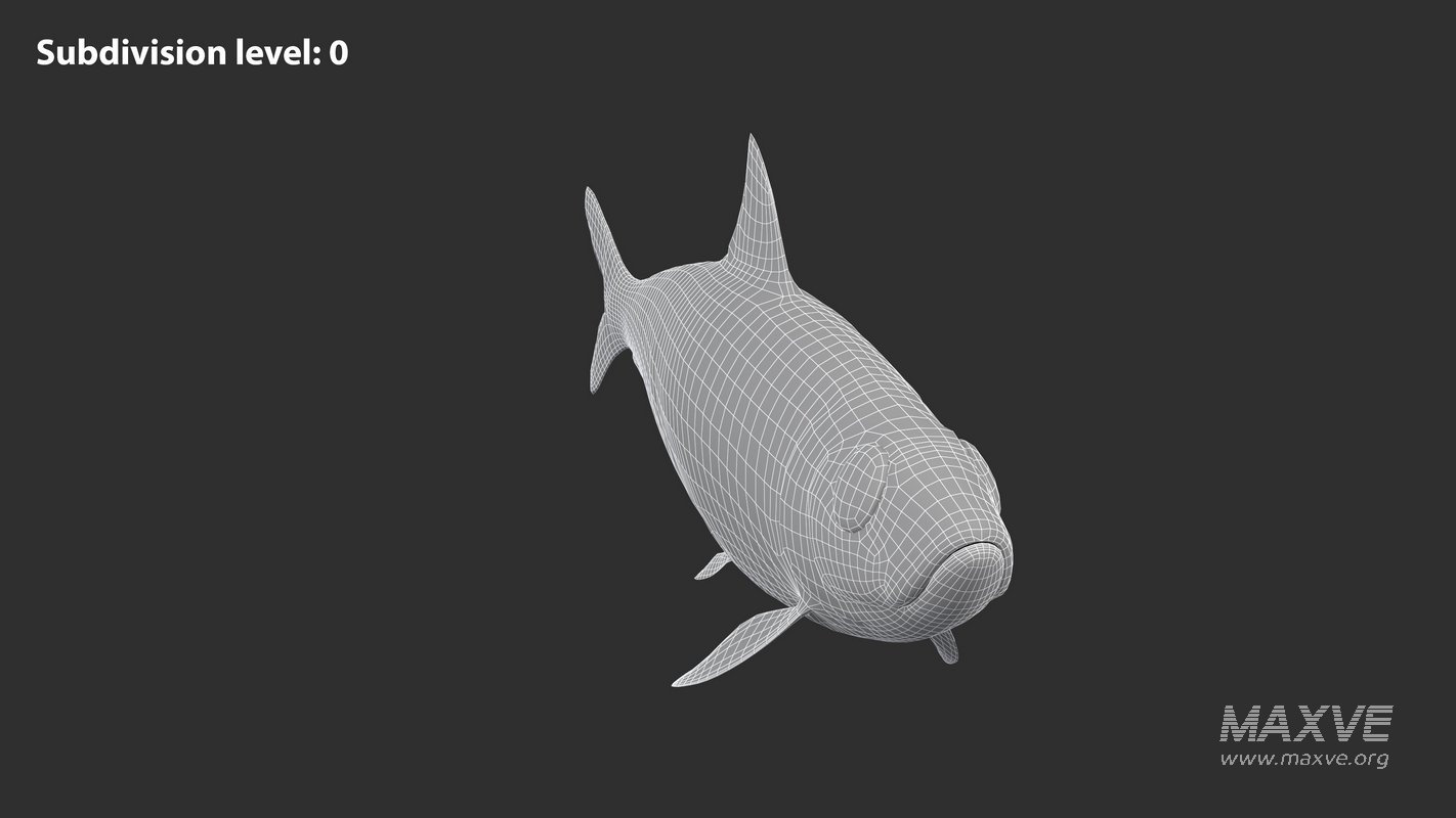 Sardine Fish - Image 12