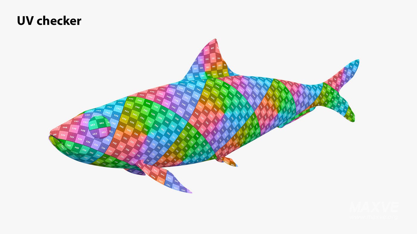 Sardine Fish - Image 21