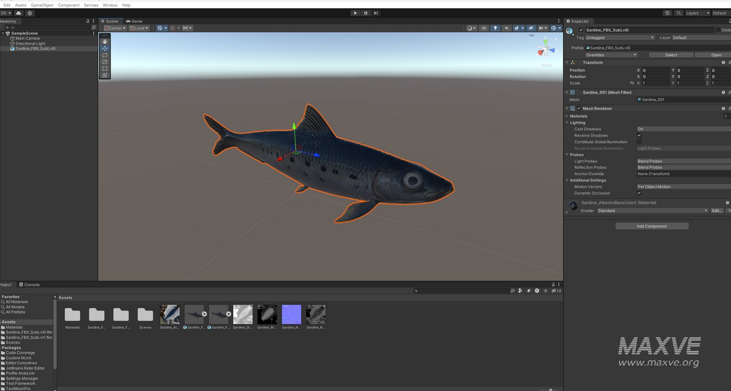 Sardine Fish - Image 24