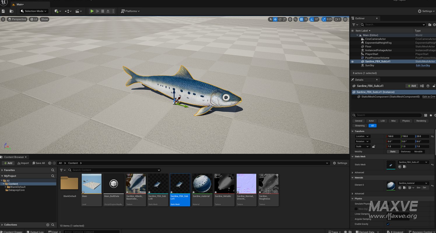 Sardine Fish - Image 25