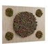 Vertical Wall Garden 03 - Thumbnail 3