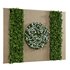 Vertical Wall Garden 04 - Thumbnail 1