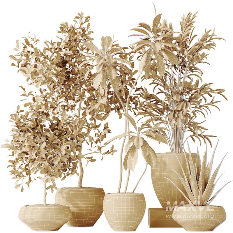 Indoor plants set 112 Aquatica Grand Artificiel and Lutescens Areca Palm - Image 7