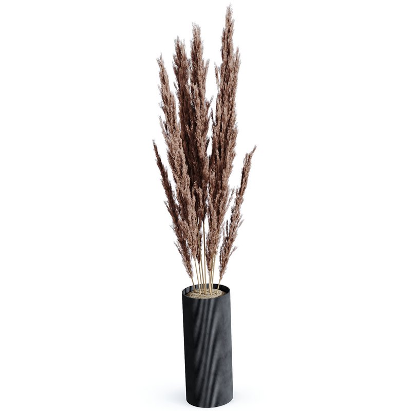 HQ HousePlants Decorative Miscanthus Pampas Dried Branches Pampy02 - Image 2