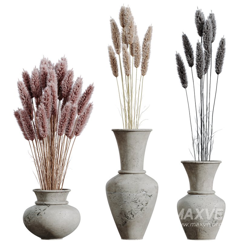 HQ HousePlants Decorative Stoilan Pampas Dried Branches Pampy05 - Image 1