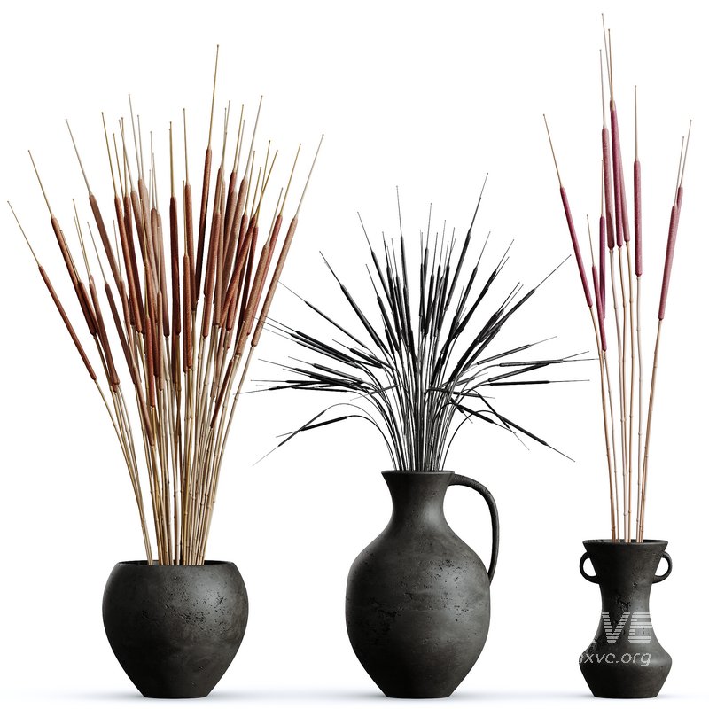 HQ HousePlants Decorative Stoilan Pampas Dried Branches Pampy - Image 1