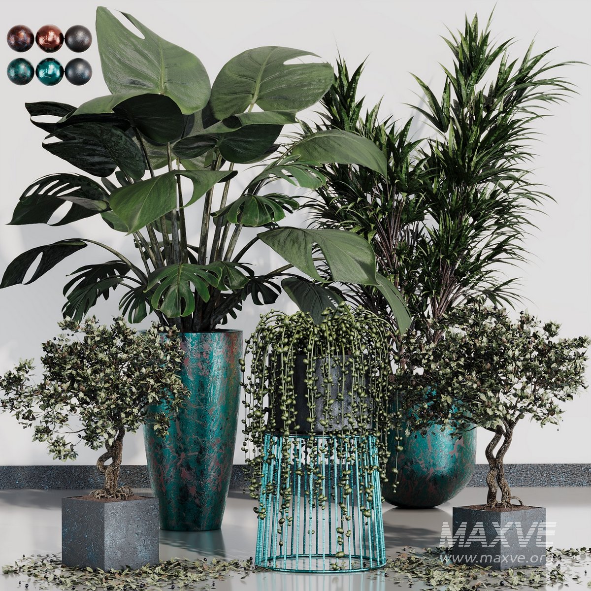 INDOOR PLANT SET 07 - Image 2