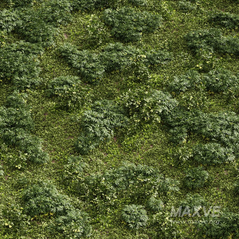 Meadow Lawn Grassland Set 004 - Image 1