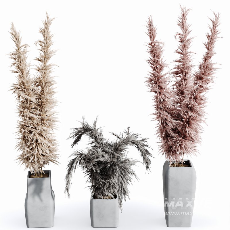 HQ HousePlants Decorative Stoilan Pampas Dried Branches Pampy04 - Image 3
