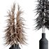 HQ HousePlants Decorative Miscanthus Pampas Dried Branches Pampy03 - Thumbnail 4