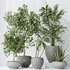 Indoor plants set 112 Aquatica Grand Artificiel and Lutescens Areca Palm - Thumbnail 6
