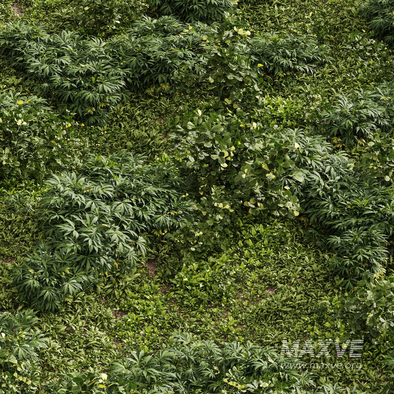 Meadow Lawn Grassland Set 004 - Image 2