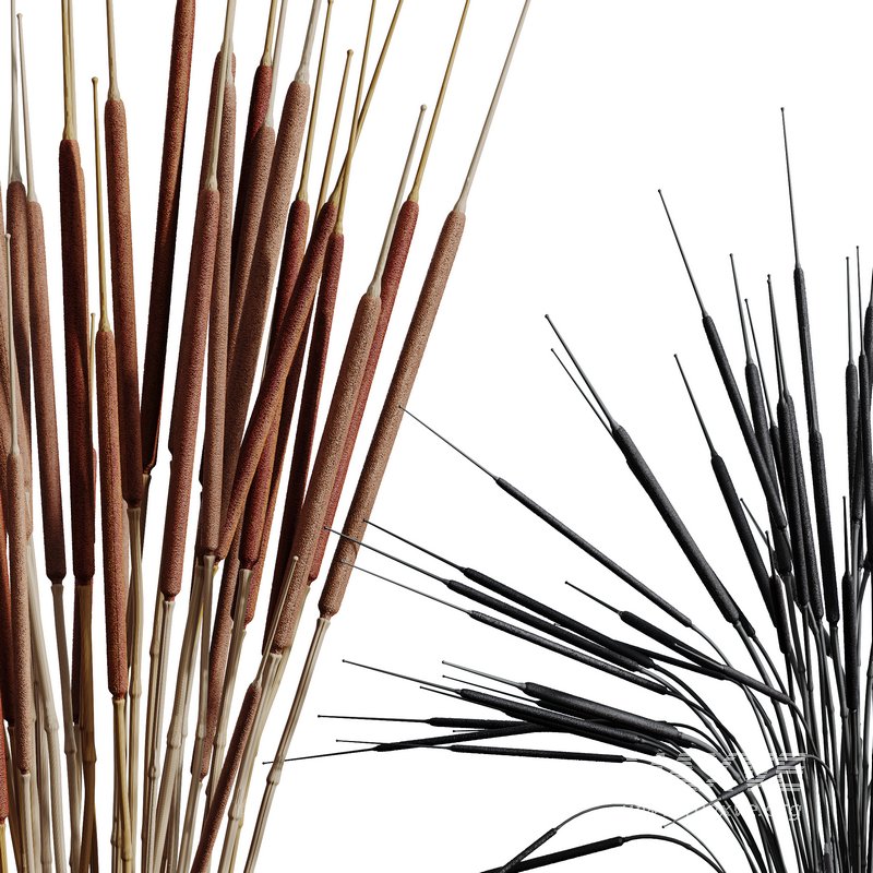 HQ HousePlants Decorative Stoilan Pampas Dried Branches Pampy - Image 3