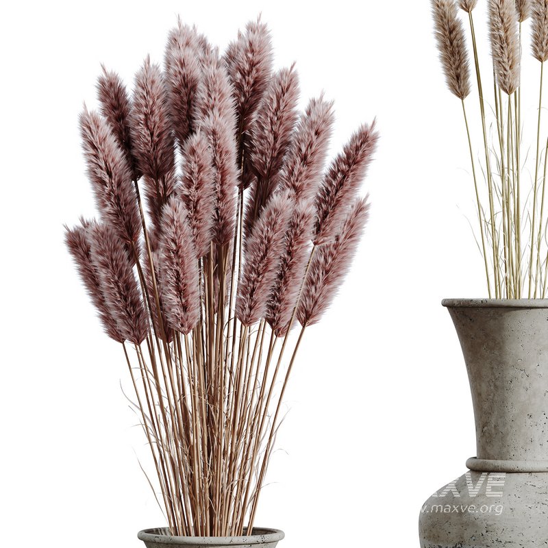 HQ HousePlants Decorative Stoilan Pampas Dried Branches Pampy05 - Image 3